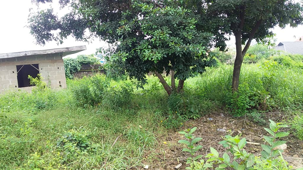 Land for sale in a strategic location in Enugu