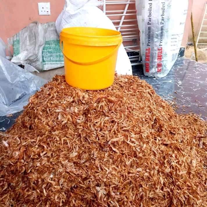 Crayfish for sale at an affordable price