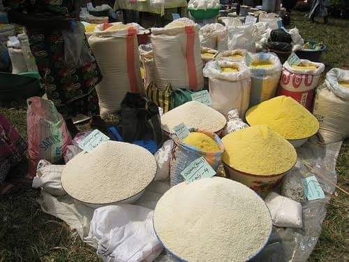Garri for sale